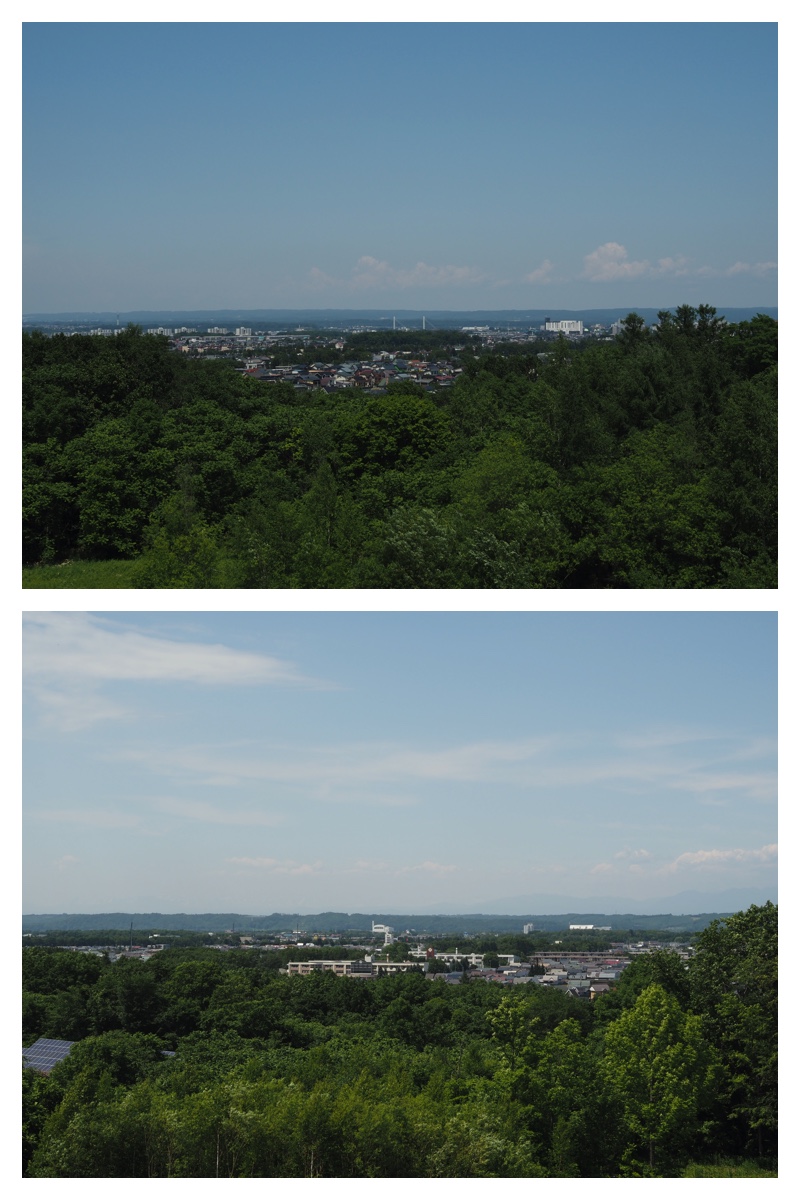Ezorisu_210627_2