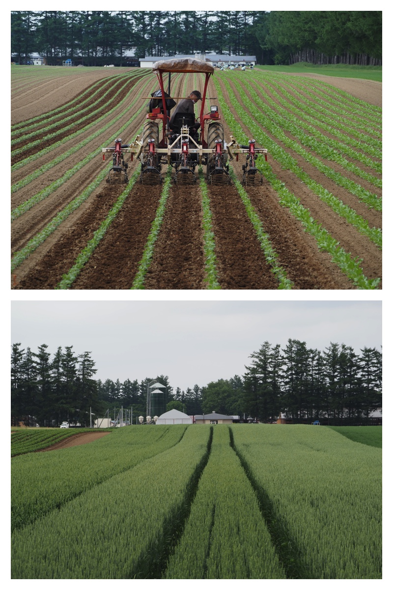 Field_210615_1