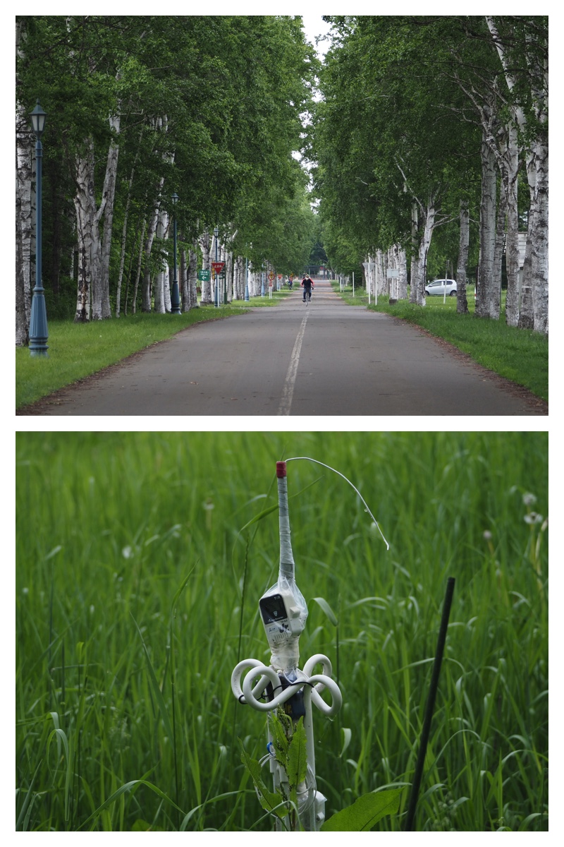 Field_210615_4