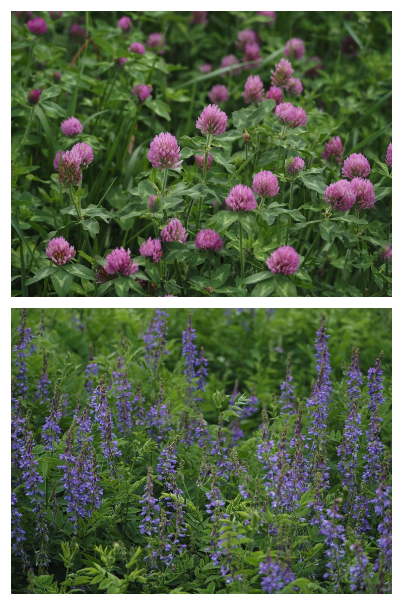 Field_210615_5