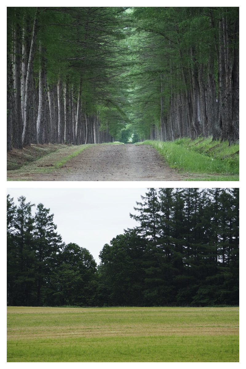 Field_210615_6