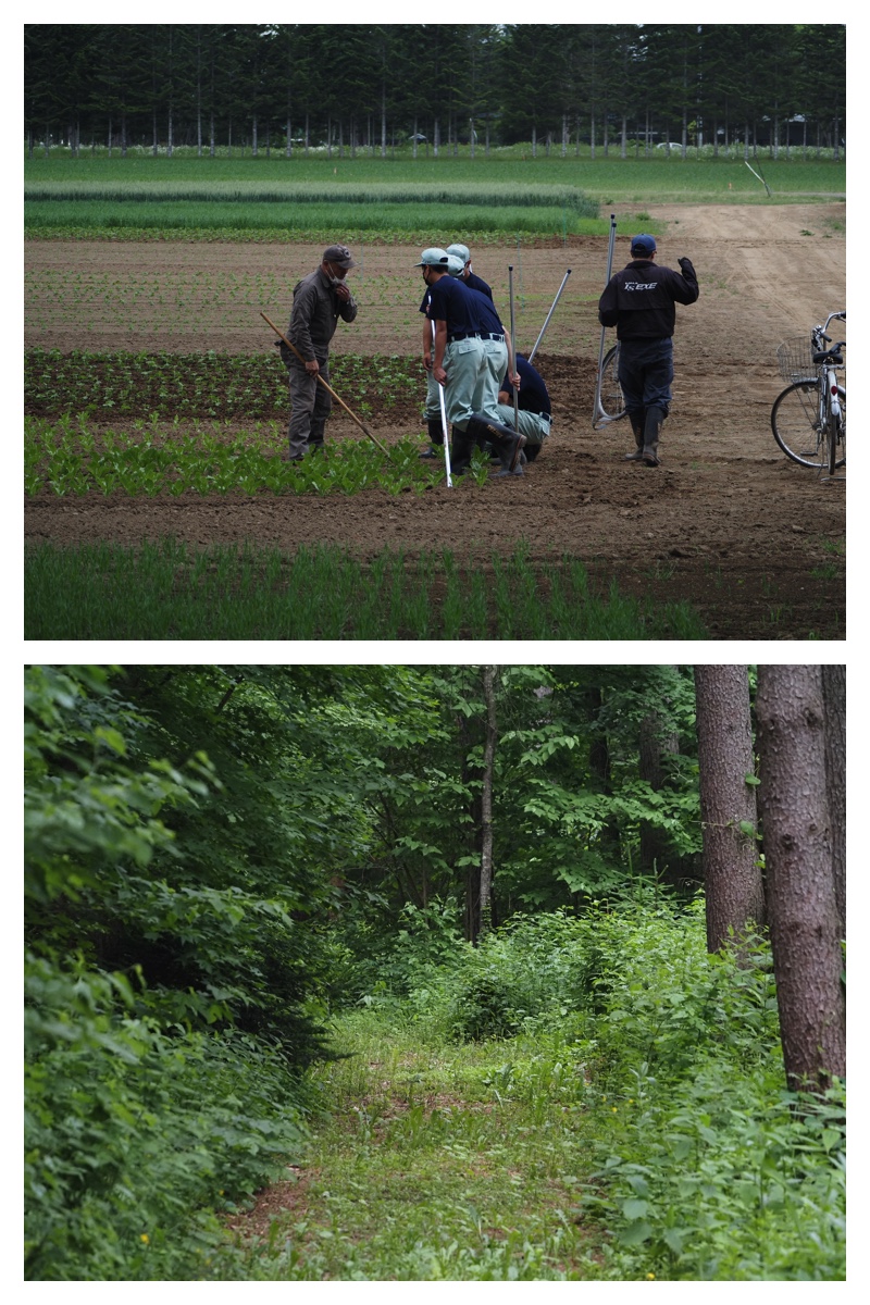 Field_210615_7