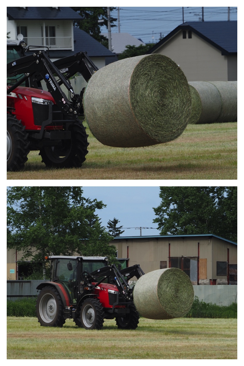 Field_210616_1