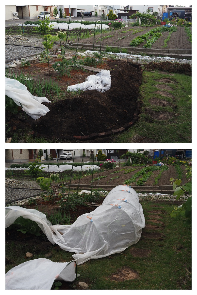 Garden_210614_2