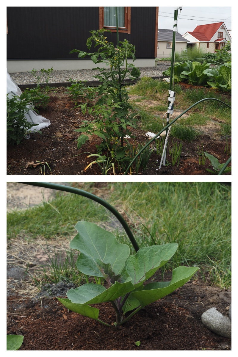 Garden_210630_2