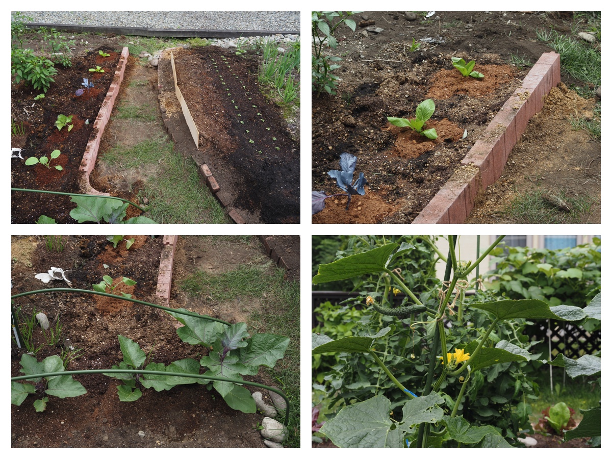 Garden_210712_1