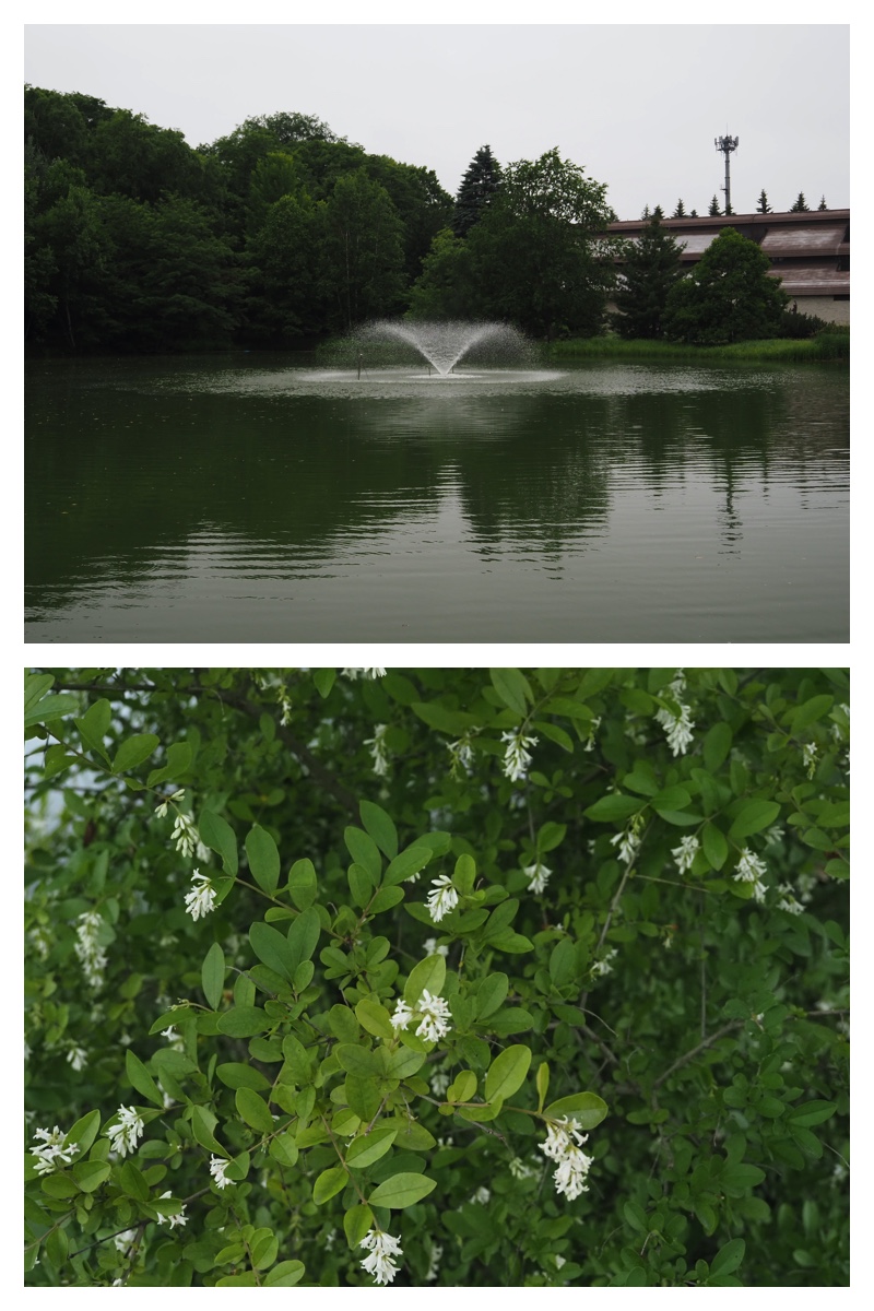 Green_210707_11