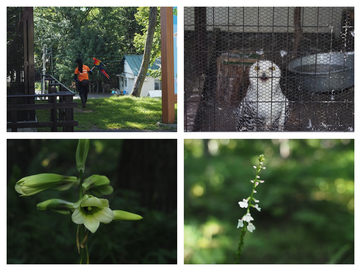 Green_210717_1