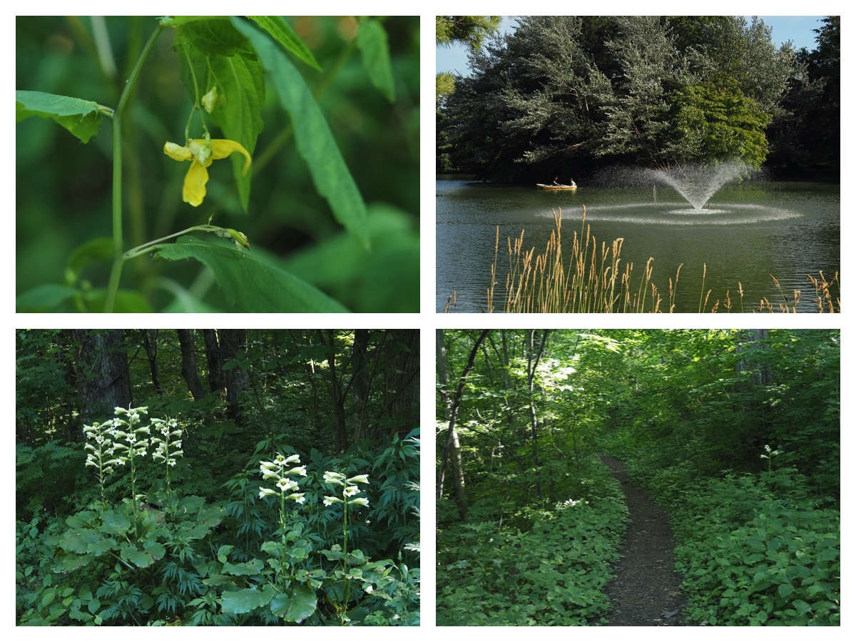 Green_210717_3
