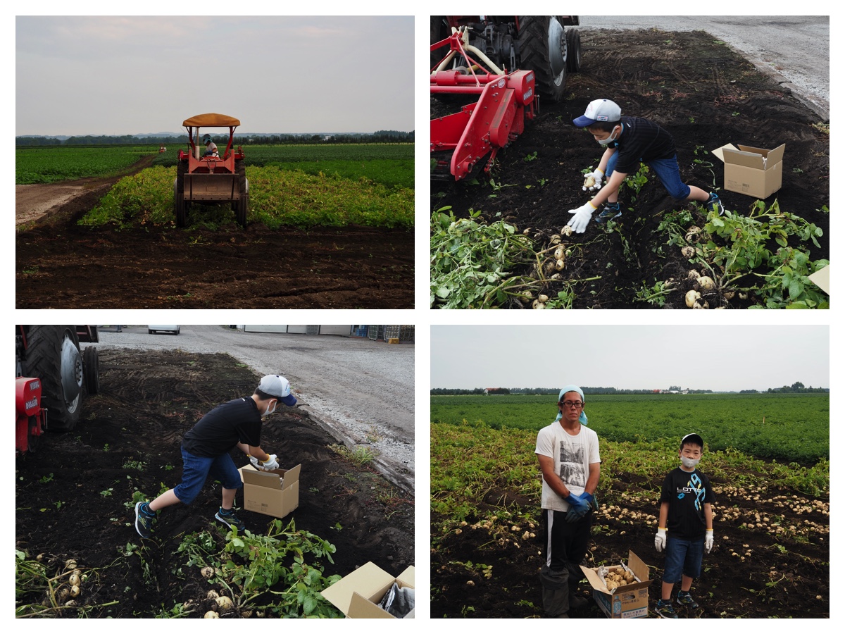 Harvest_210805_1