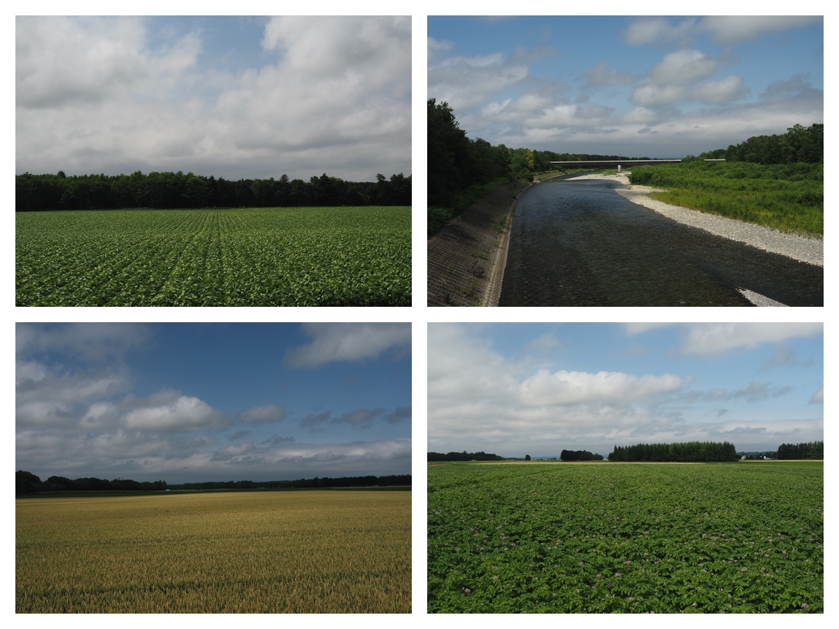 Hills_210713_1