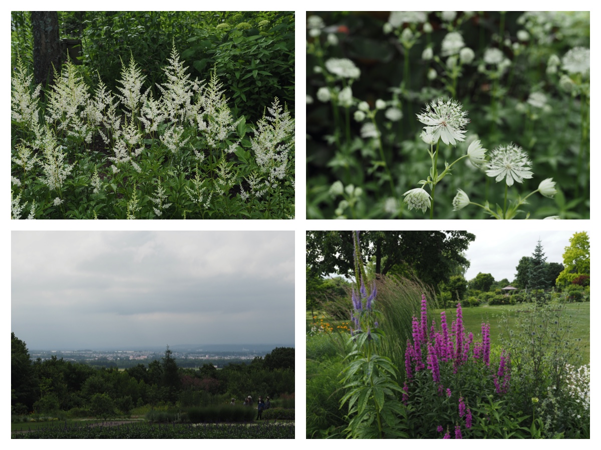 Hills_210713_3