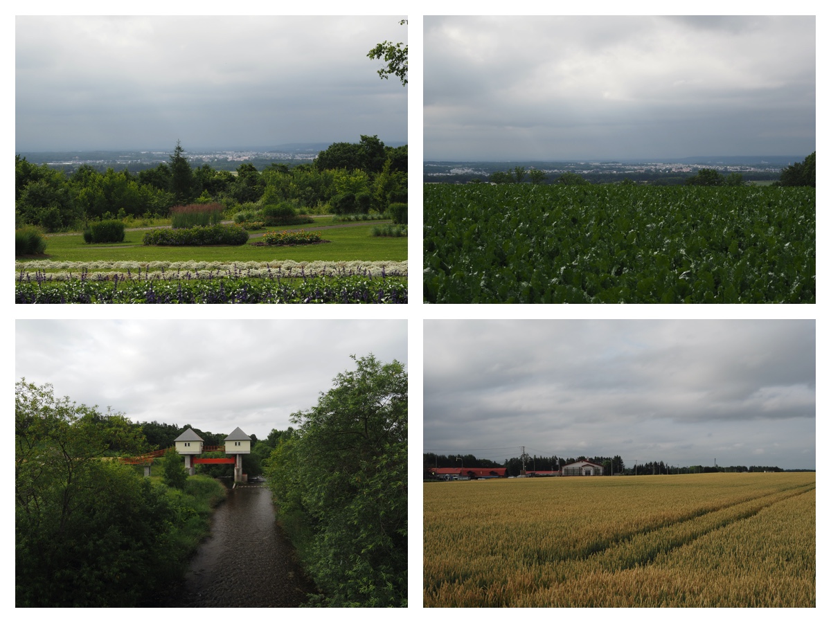 Hills_210713_8