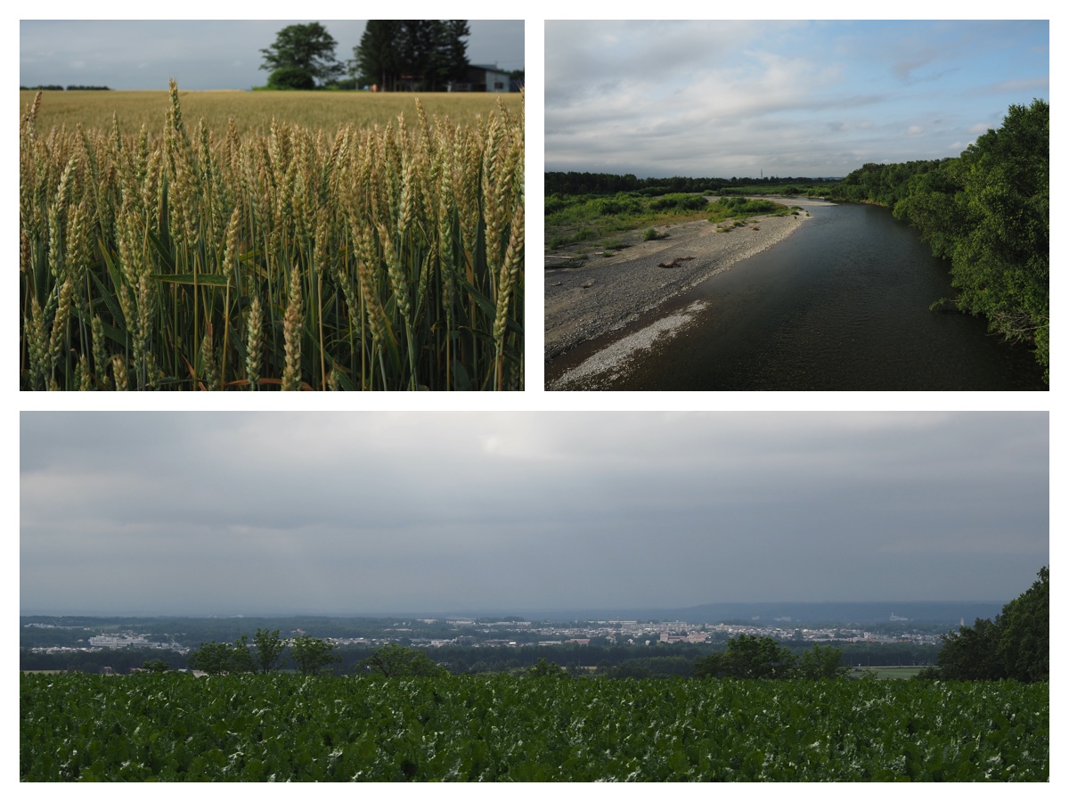 Hills_210713_9