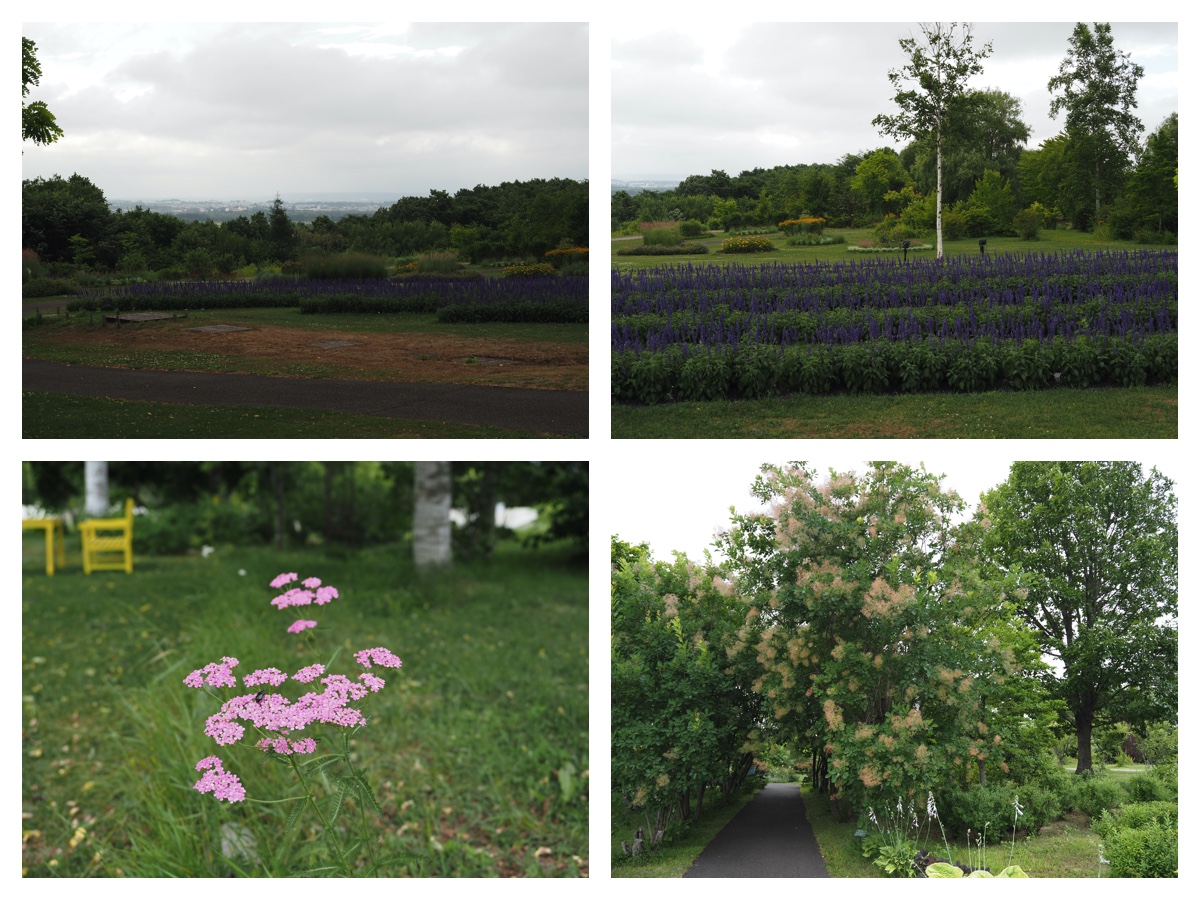 Hills_210729_4