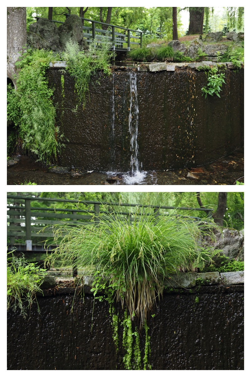 Manabe_210612_12