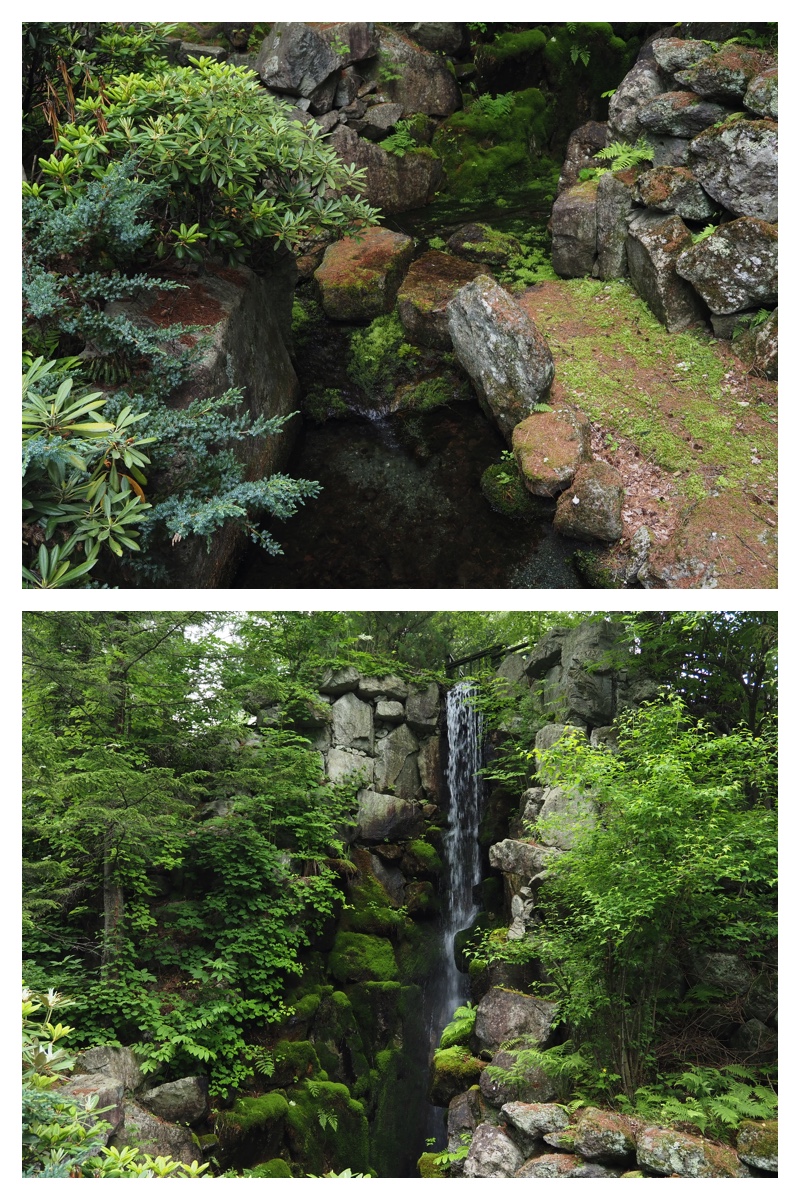 Manabe_210612_7