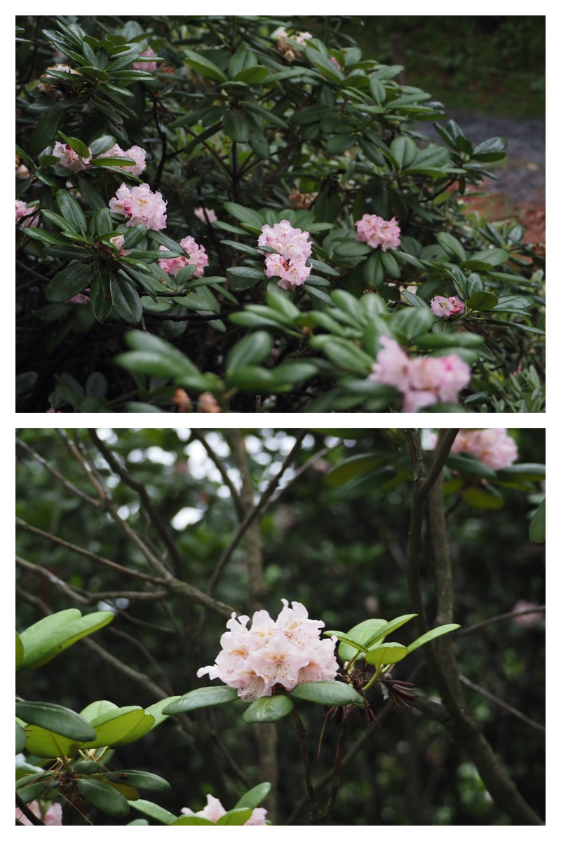 Manabe_210706_10