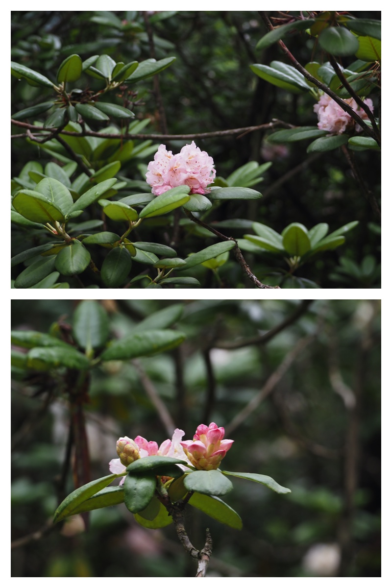 Manabe_210706_11