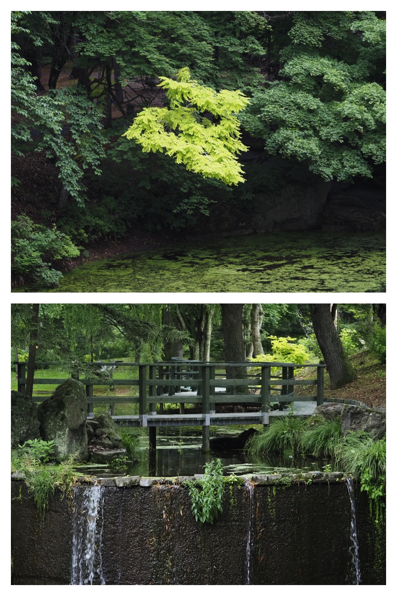Manabe_210706_13
