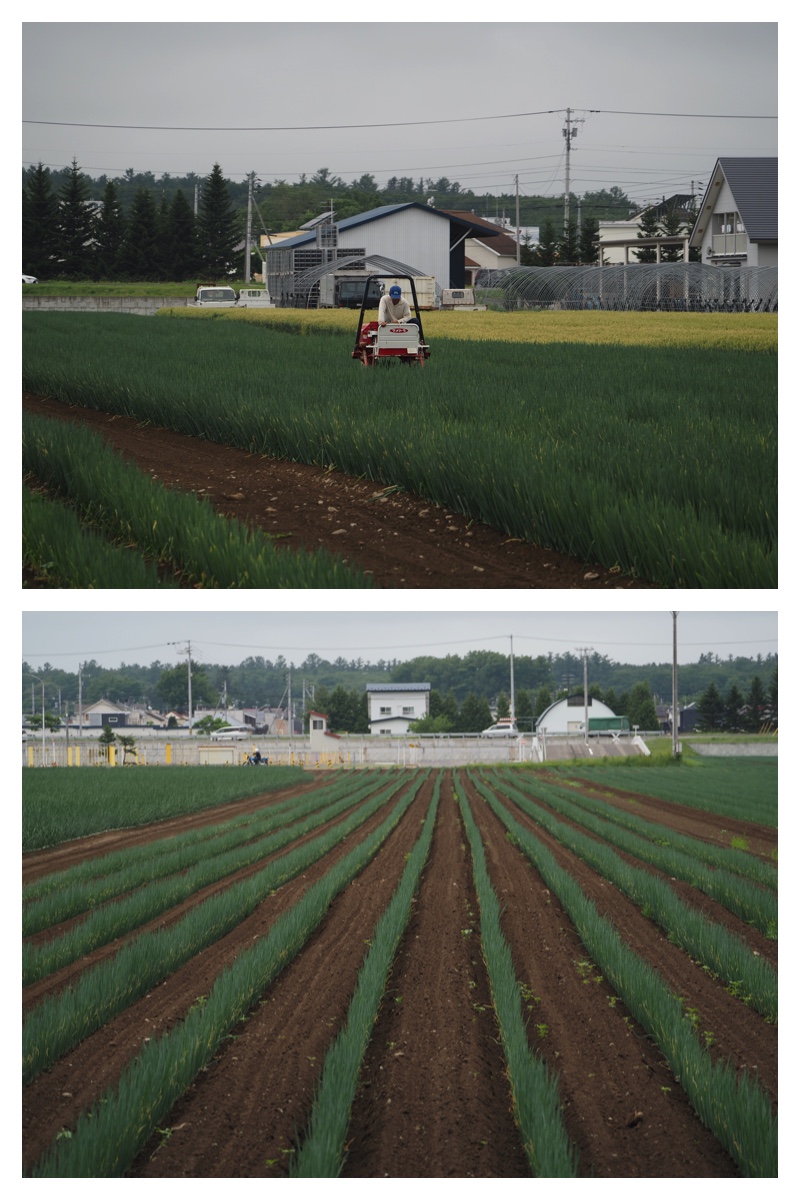 Manabe_210706_19