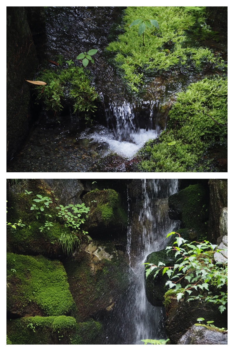 Manabe_210706_7