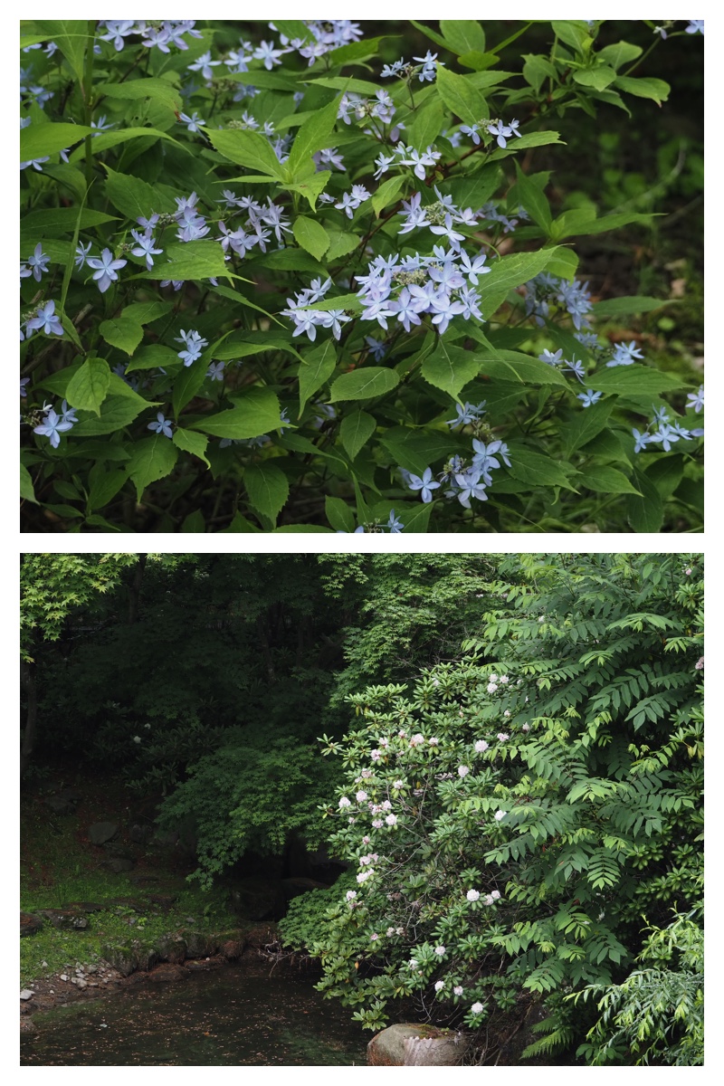 Manabe_210706_71