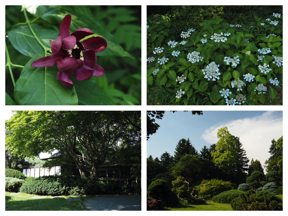 Manabe_210719_1
