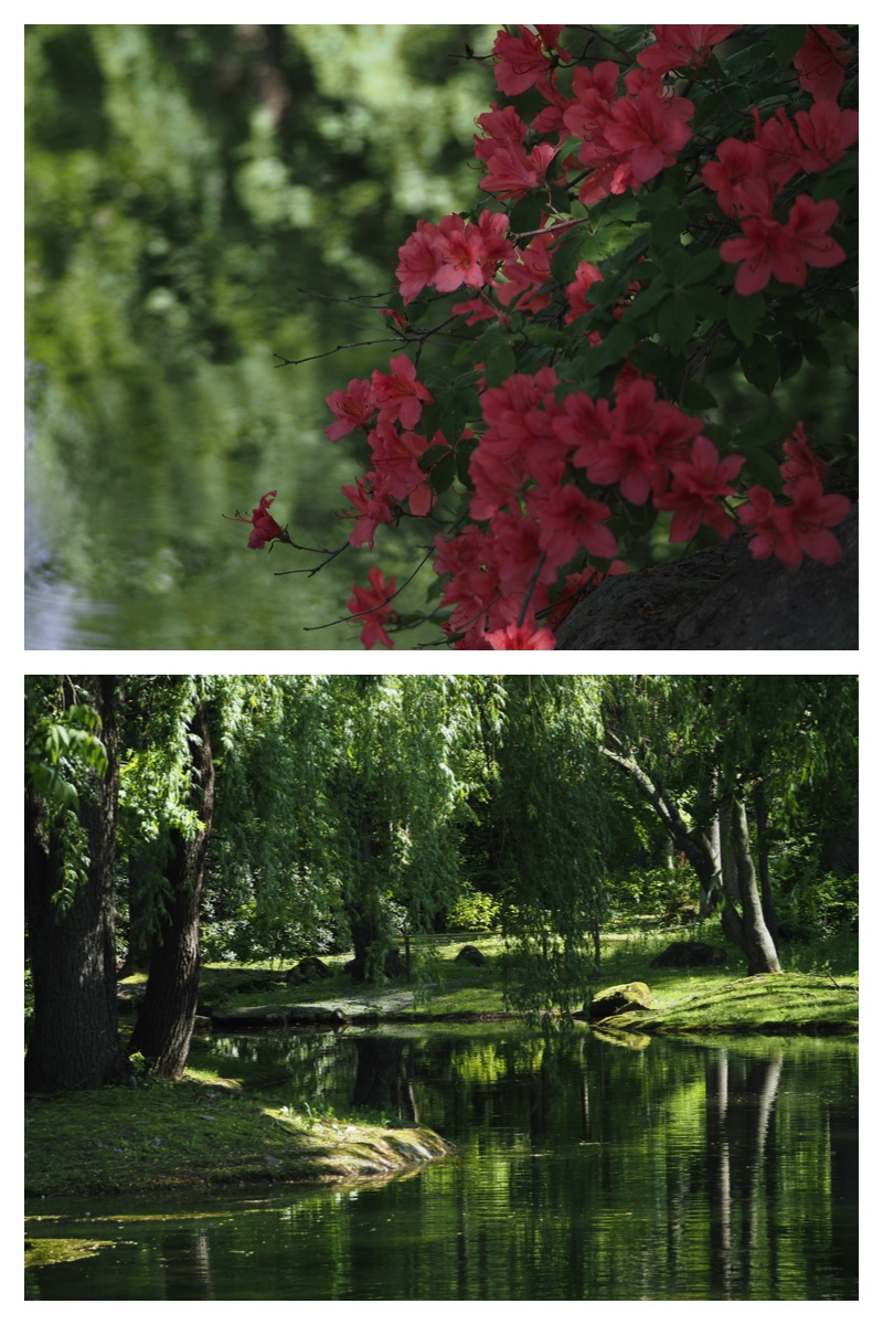 Walk_210605_11