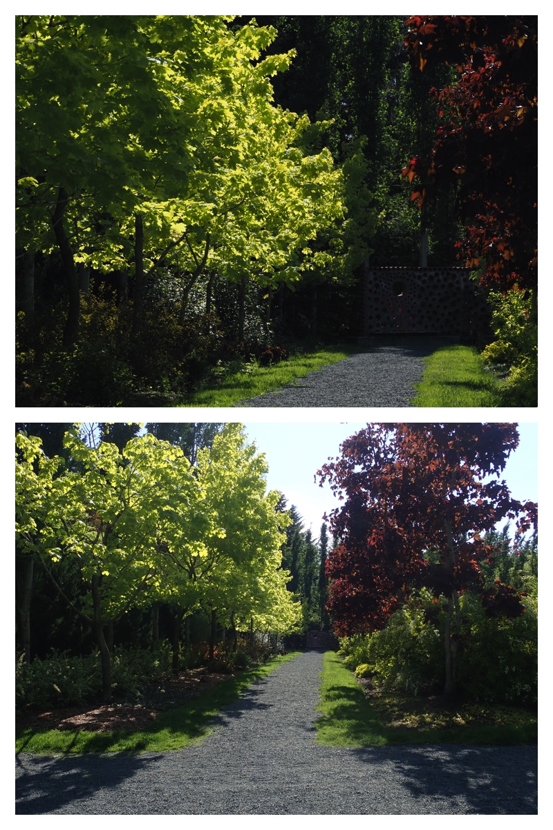 Walk_210605_13