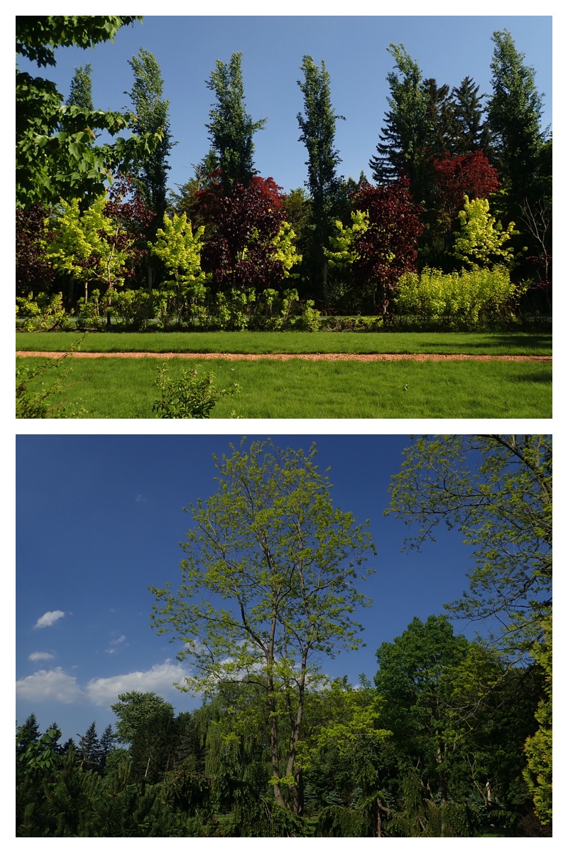 Walk_210605_15