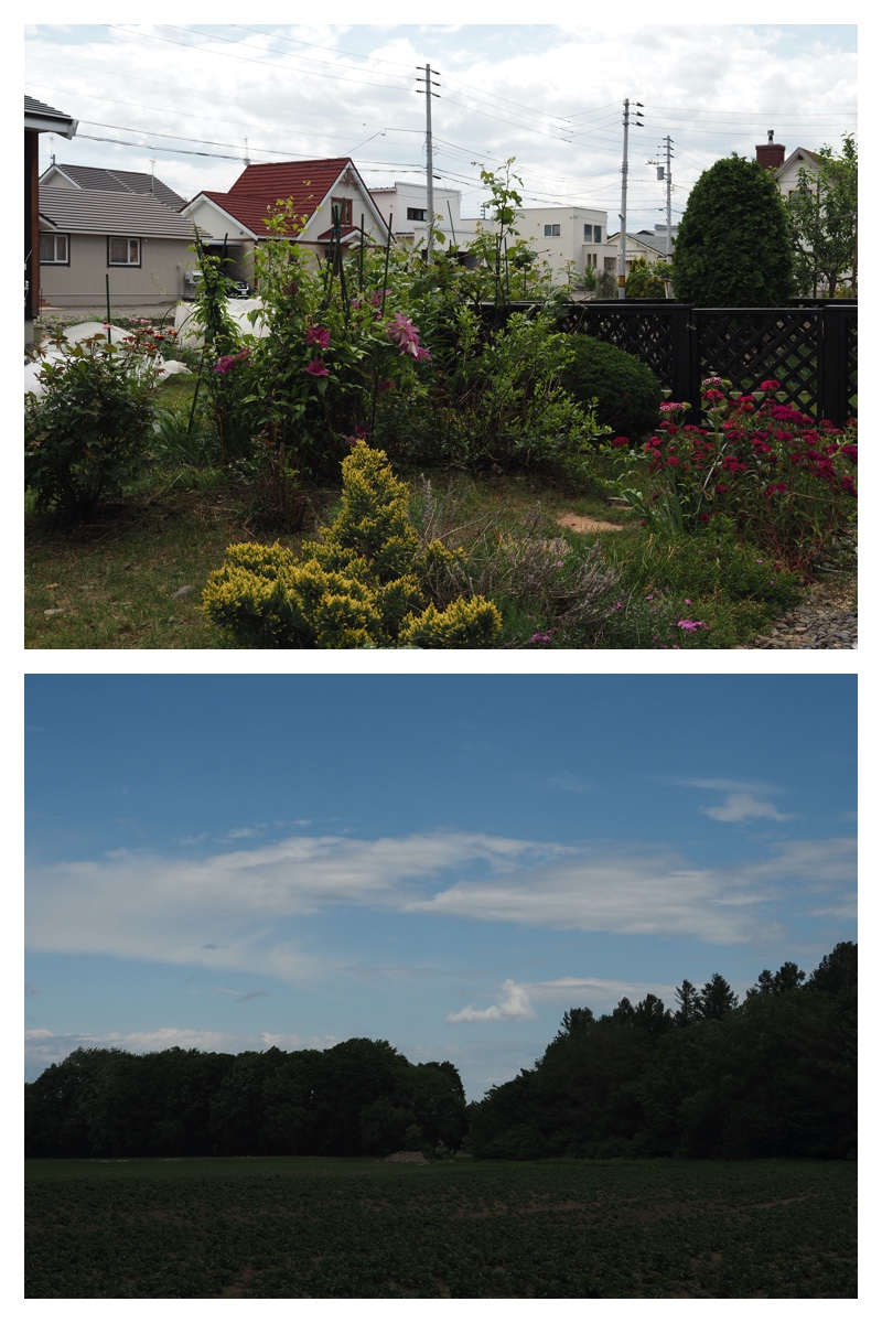 Walk_210608_1