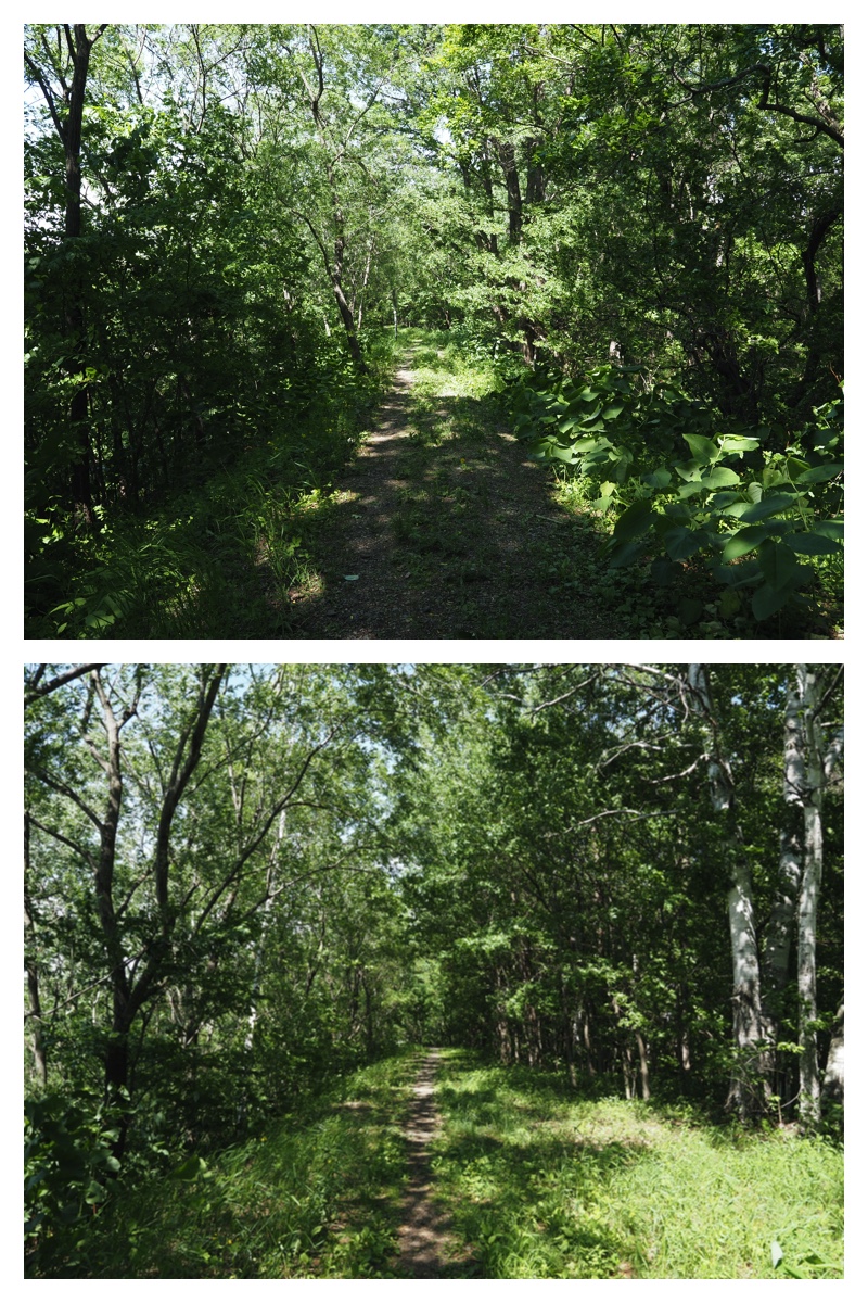 Walk_210608_10
