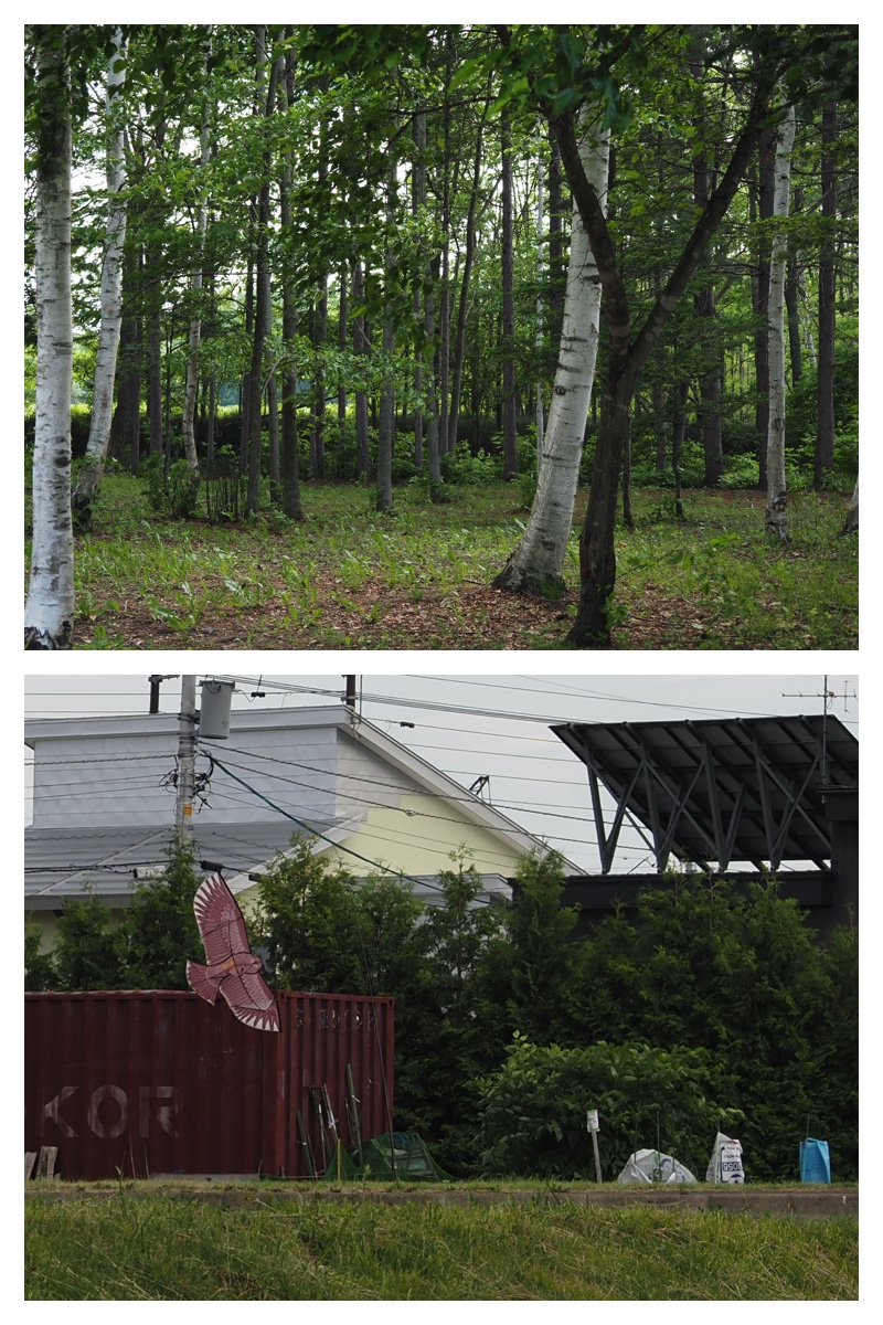 Walk_210608_16