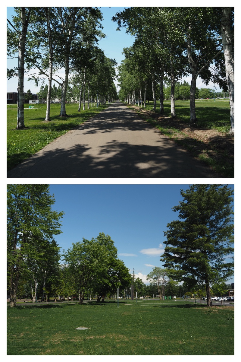 Walk_210608_7