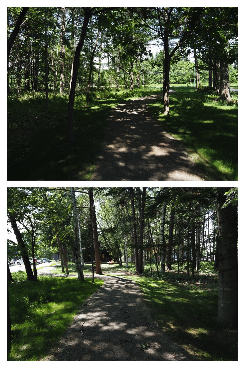 Walk_210608_8