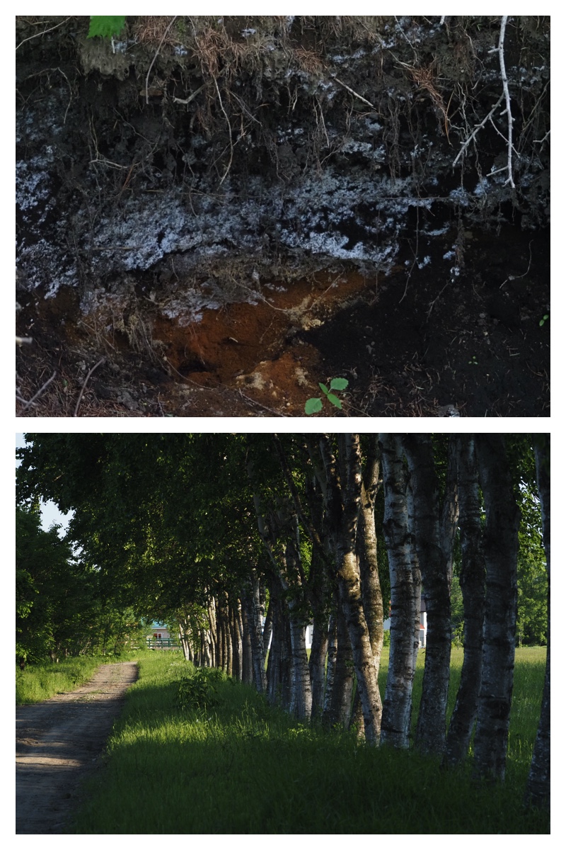 Walk_210609_7