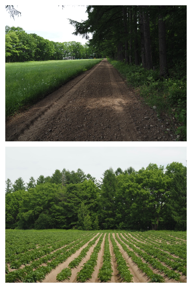 Walk_210611_8