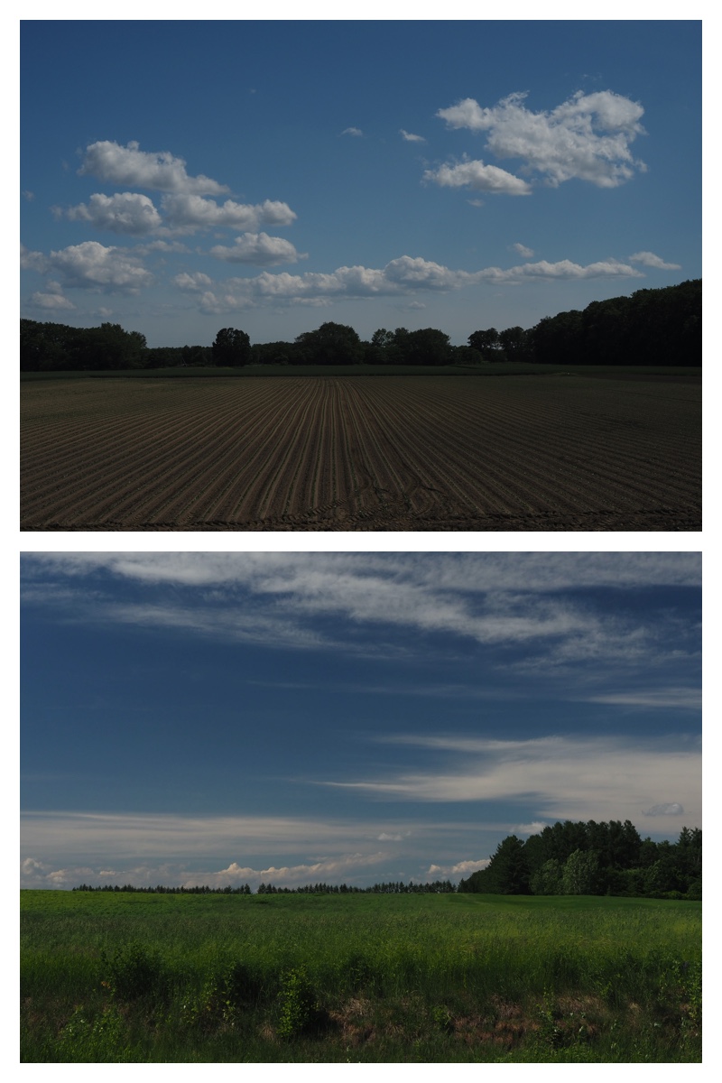 Walk_210613_1