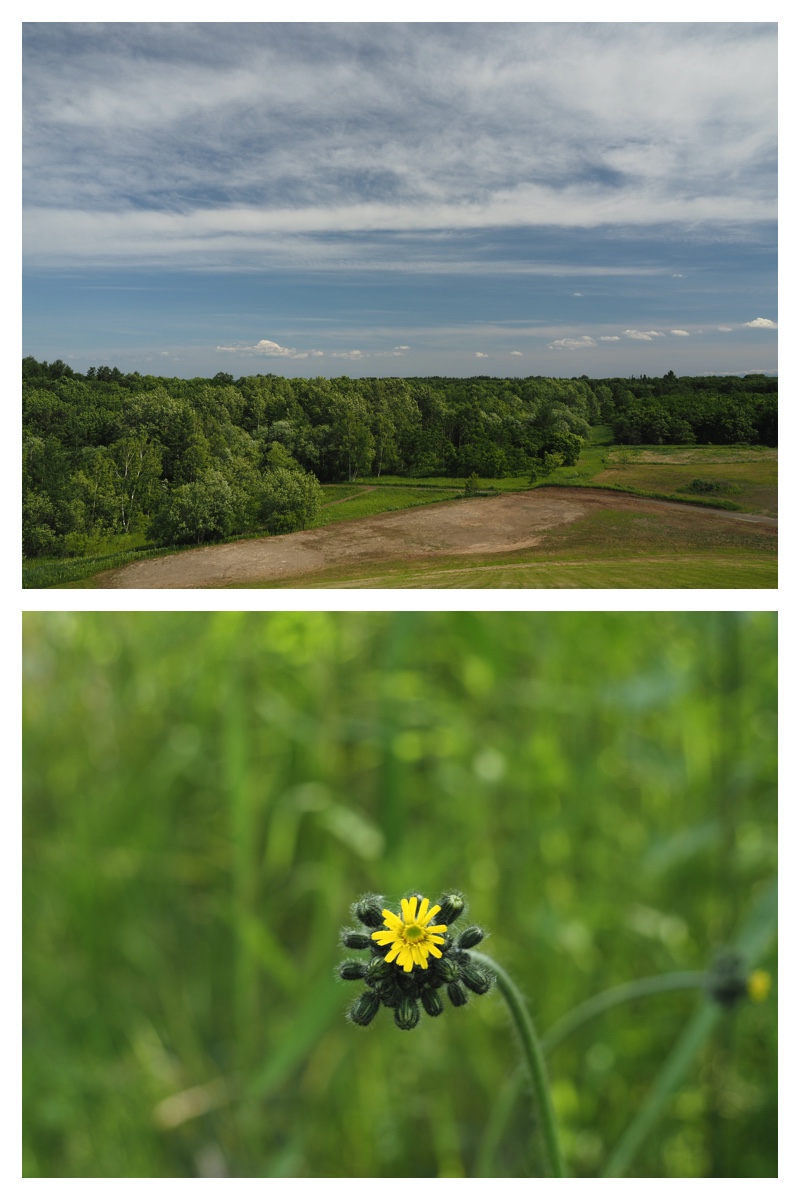 Walk_210613_13