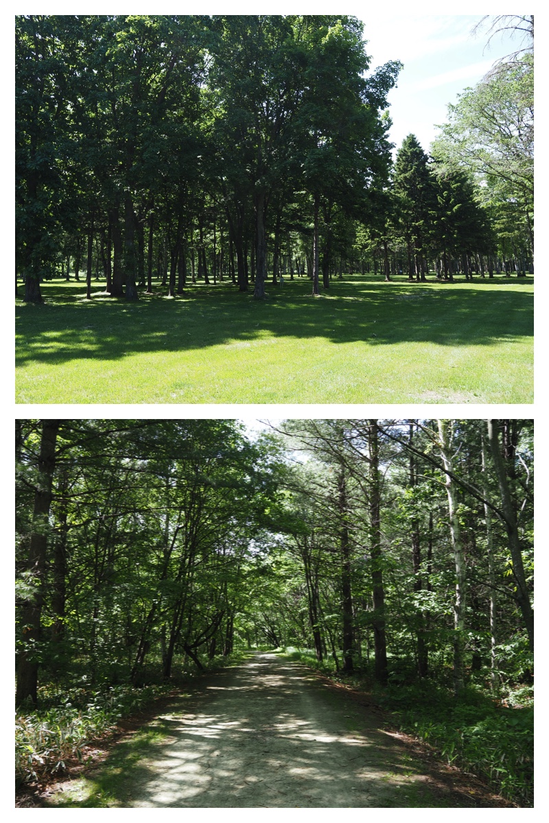 Walk_210613_2