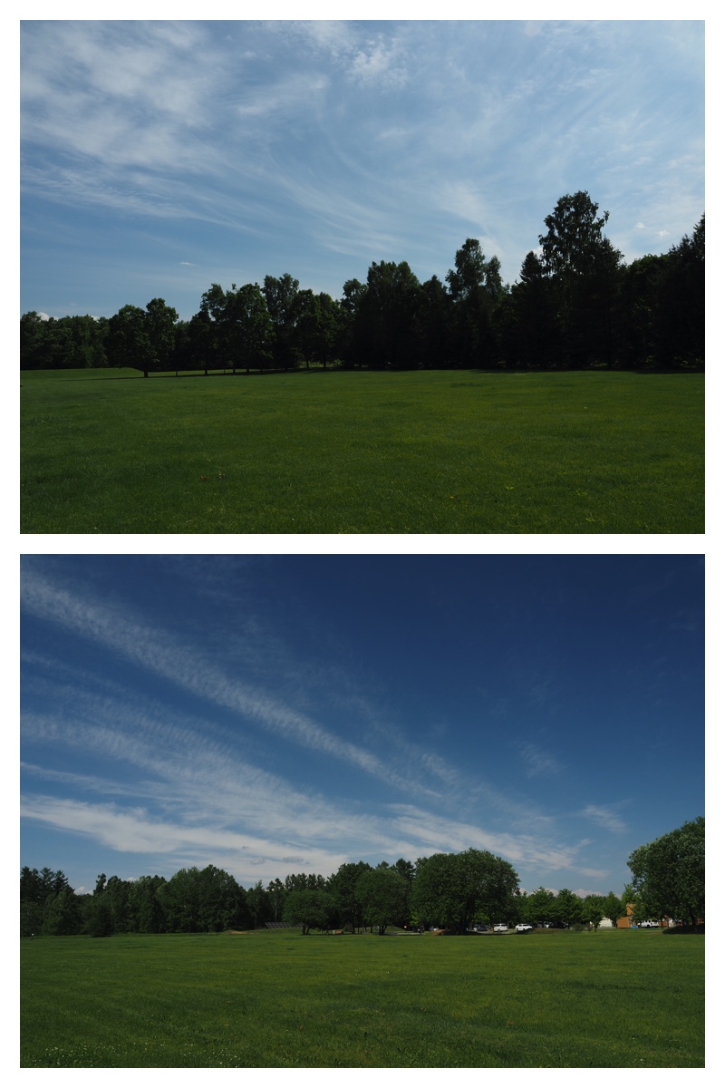 Walk_210613_4