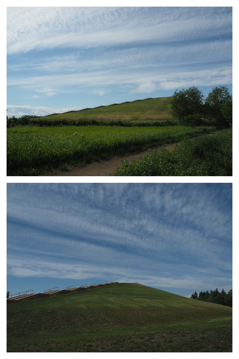 Walk_210613_9