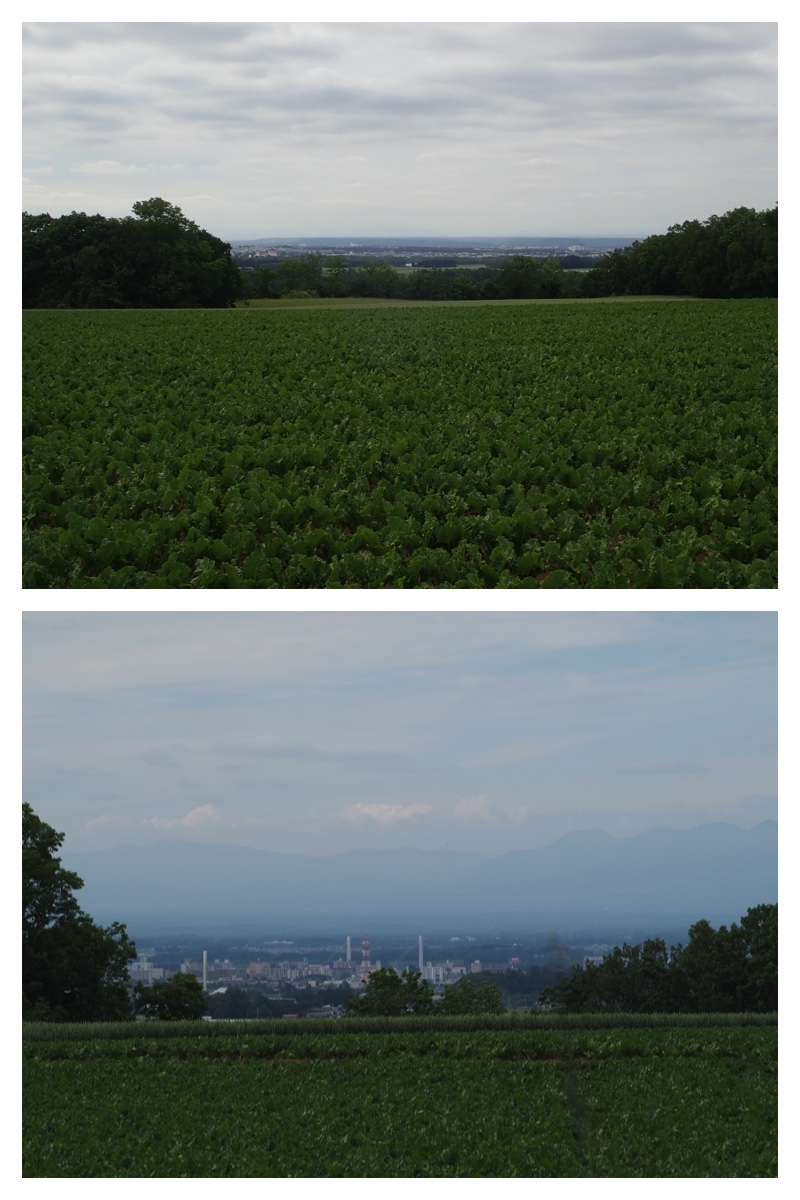Walk_210619_6