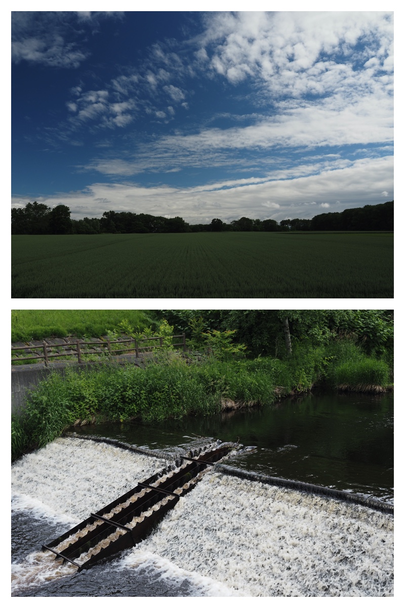 Walk_210621_1