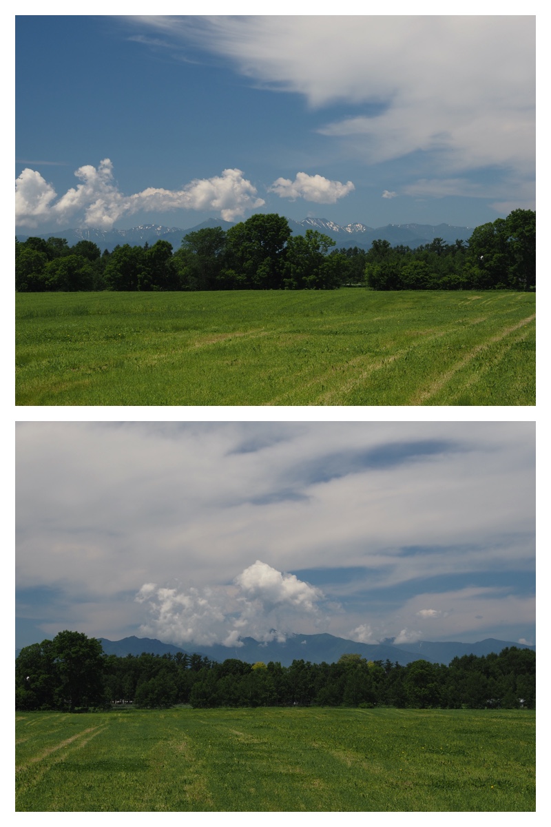 Walk_210622_2