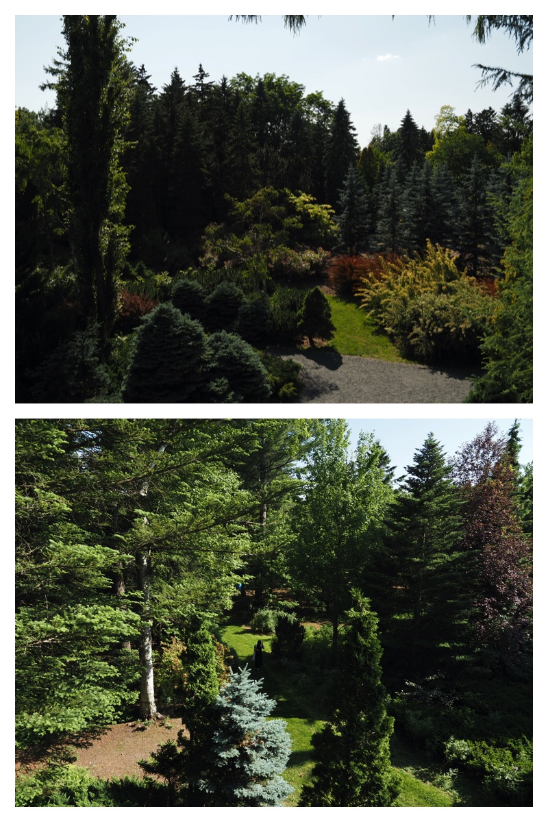 Walk_210626_1