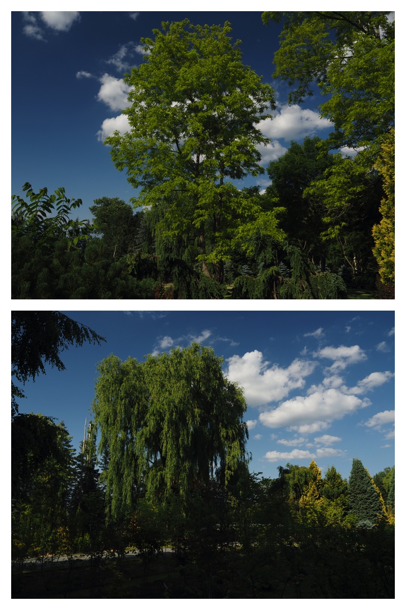 Walk_210626_13