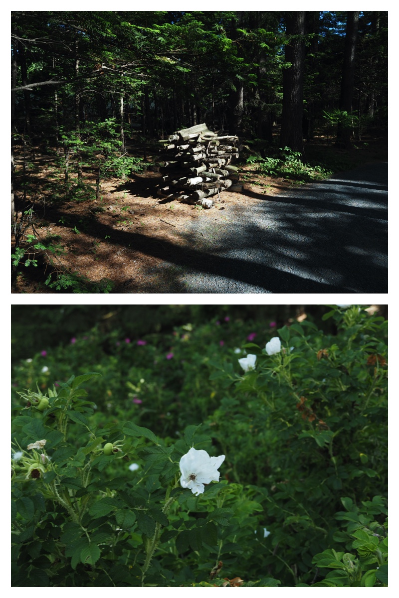 Walk_210626_6