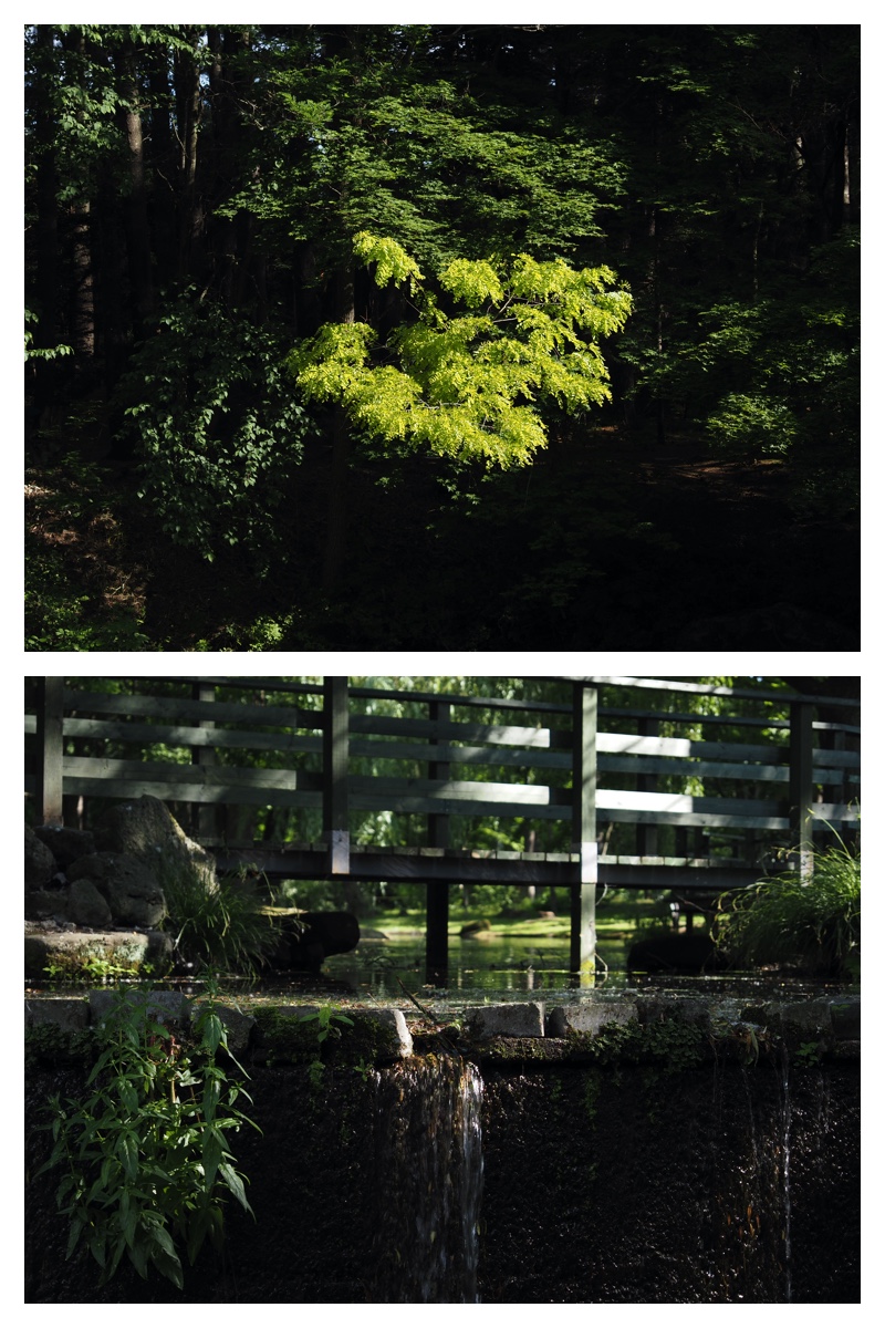 Walk_210626_7